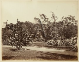 ‘Botanic Gardens’ NSW - Sydney 'Botanic Gardens'