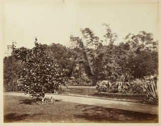 ‘Botanic Gardens’ Sydney