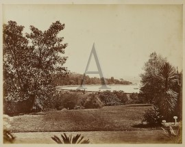 ‘Botanic Gardens’ NSW - Sydney 'Botanic Gardens'