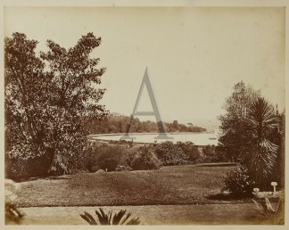 ‘Botanic Gardens’ Sydney