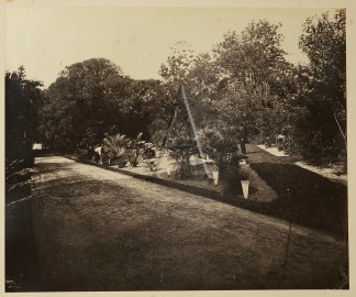 ‘Botanic Gardens’ Sydney