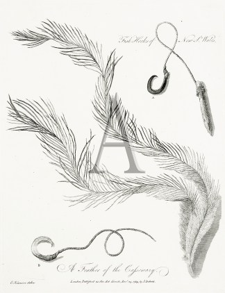 A. B. Fish Hooks of New South Wales.  A … Australian