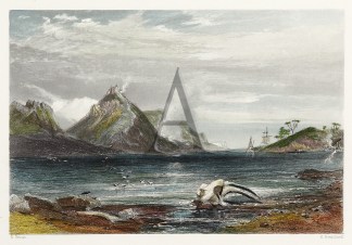 Old Whaling Station. Tasmania