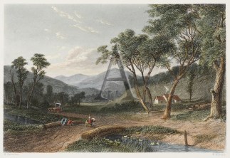 Morse’s Creek, Victoria. AUSTRALIA