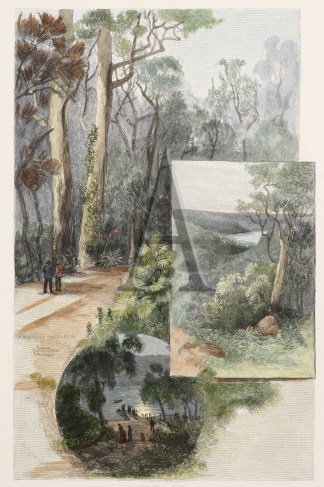 The National Park. Lady Carrington Road,… Regional