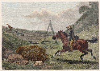 Kangaroo Hunt Australiana (General)