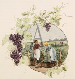 The Vintage. General - Australiana