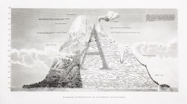Progress Of Vegetation At Different Elevations. World - Nonindigenous General