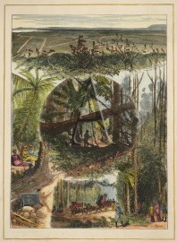 A Visit to Fern-Tree Gully.