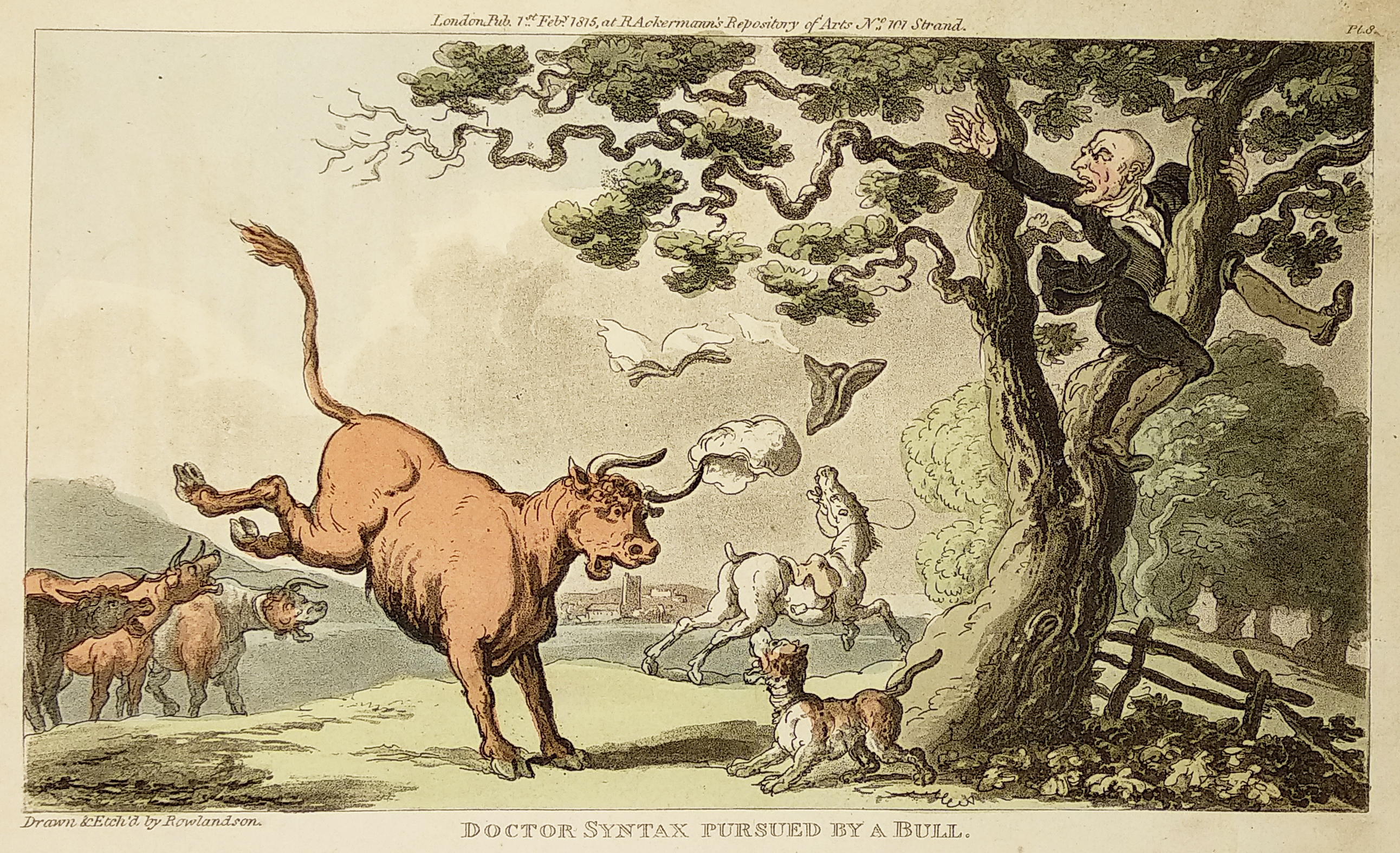Doctor Syntax Pursued by a bull. - Antique Print from 1815
