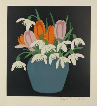 Crocus and Snowdrops General / Global Crocus and Snowdrops General / Global