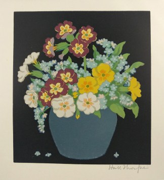 Forget Me Not. General / Global