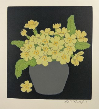 Primroses General / Global