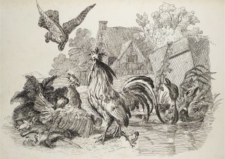 Untitled General / Global