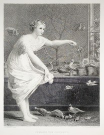 Feeding the chickens. General