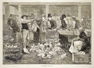 A Michaelmas goose fair. General / Global