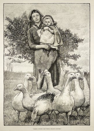 “Coming events cast their shadows … General / Global