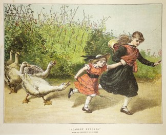 “Scarlet runners” CHILDREN'S PRINTS