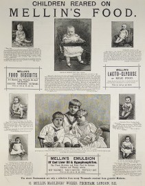 Children reared on Mellin's Food.
