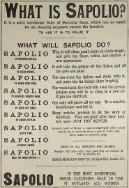 What is Sapolio?