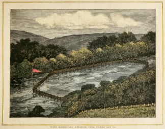 Oyster breeding-park, Rutherford Creek, … Shells & Coral