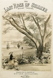 The Last Rose of Summer with Brilliant Variations. NSW - Sydney The Last Rose of Summer with Brilliant Variations.