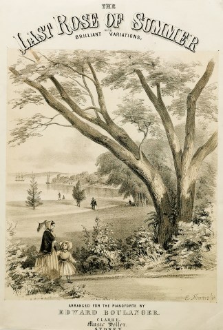 The Last Rose of Summer with Brilliant V… Sydney