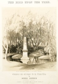 The Bird Upon the Trees. / Allan Cunningham’s Monument in the Botanic Gardens. NSW - Sydney The Bird Upon the Trees. / Allan Cunningham's Monument in the Botanic Gardens.