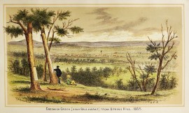 Creswick Creek (Near Ballarat) from Spring Hill, 1855.