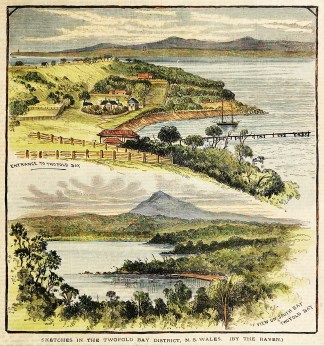 Scene in the Twofold Bay District, N.S. … Regional