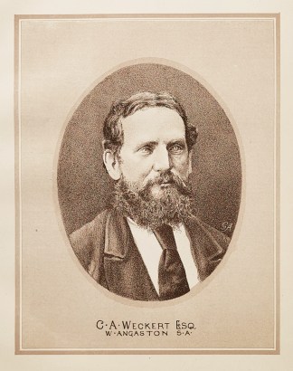 C. A. Weckert Esq. W. Angaston S.A. Australian