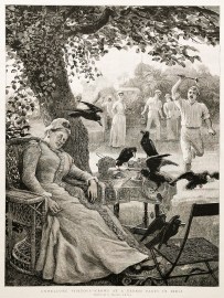 Unwelcome Visitors - Crows at a Tennis Party in India.