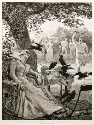 Unwelcome Visitors – Crows at a Te… General / Global