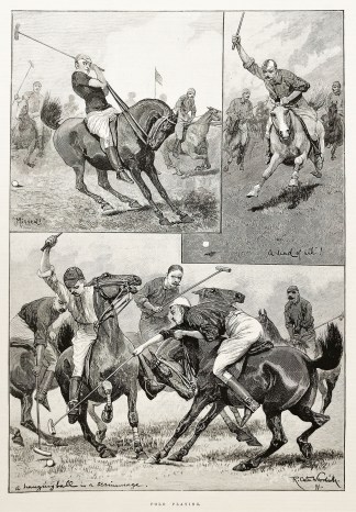 Polo Playing. Equestrian - Polo