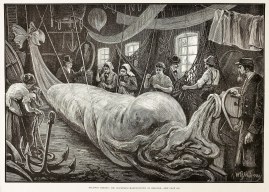 Balloon Making: Mr Coxwell's Manufactory at Seaford.