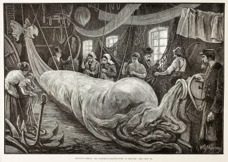 Balloon Making: Mr Coxwell’s Manuf… Ballooning & Parachuting