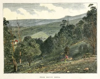 From Mount Keira. Regional