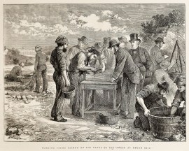 Marking Young Salmon on the Banks of the Tweed at … Fishing - Trout, Salmon, etc