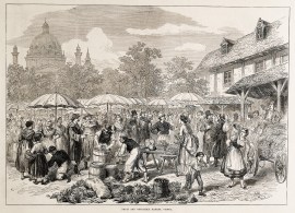 Fruit and Vegetable Market, Vienna.