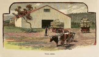 Wool Shed Australiana (General) Wool Shed Australiana (General)