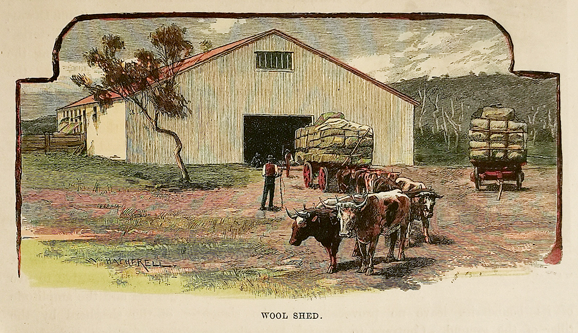 Wool Shed - Antique Print from 1886