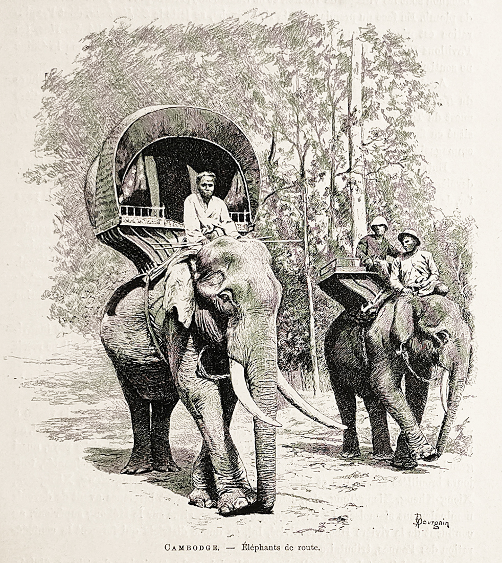 Cambodge - éléphants de route. - Antique Print from 1886