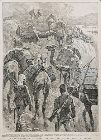 A Camel Convoy with Ammunition and Store… AFRICA
