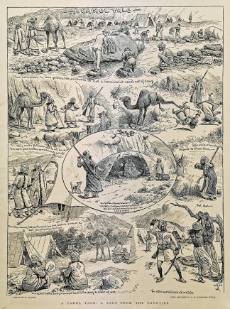 A Camel Tale, A Fact from the Frontier. General / Global