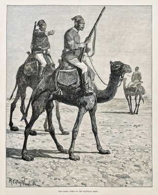 The Camel Corps of the Egyptian Army. General / Global