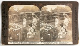 Japanese women admiring the Iris garden. Foreign photographs Japanese women admiring the Iris garden.