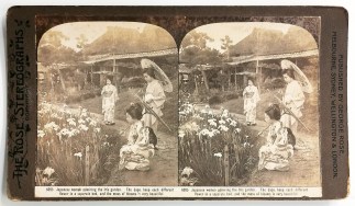 Japanese women admiring the Iris garden. Foreign photographs