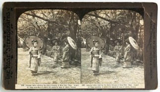 Japanese ladies admiring the cherry blos… Foreign photographs