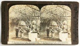 Cherry Blossoms, Neno Park. Tokyo, Japan. Foreign photographs Cherry Blossoms, Neno Park. Tokyo, Japan.