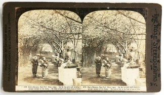 Cherry Blossoms, Neno Park. Tokyo, Japan… Foreign photographs